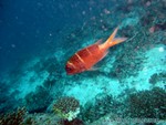 male2010-526.jpg