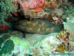 male2010-540.jpg