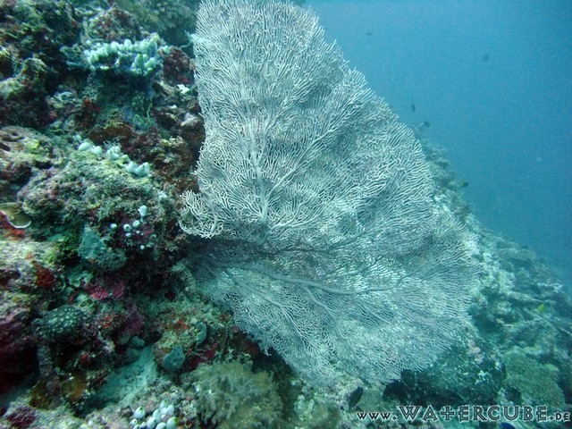 male2010-542.jpg