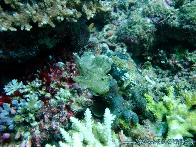 male2010-628.jpg
