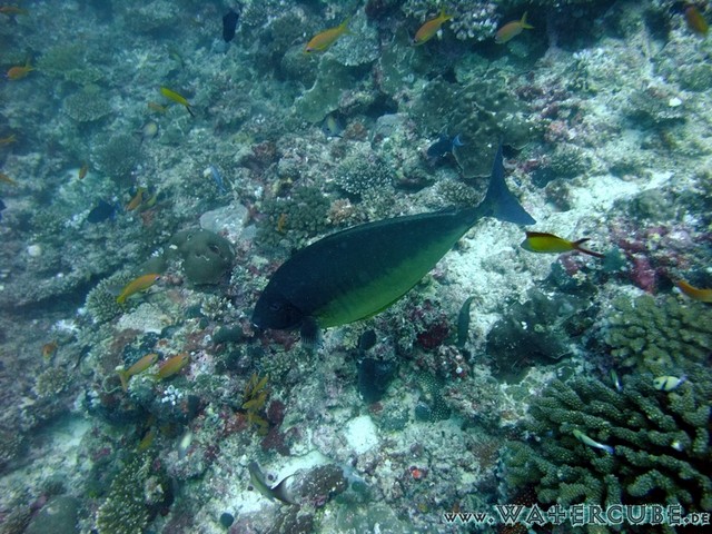male2010-630.jpg