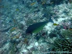 male2010-630.jpg