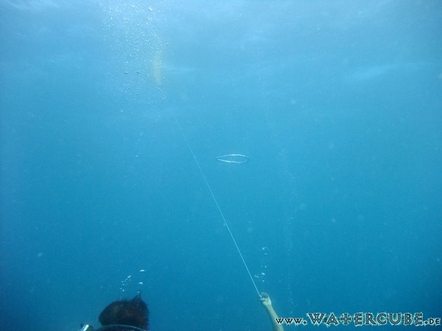 male2010-636.jpg