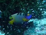 male2010-677.jpg