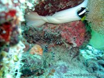 male2010-678.jpg