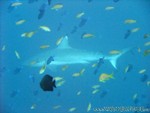 male2010-692.jpg