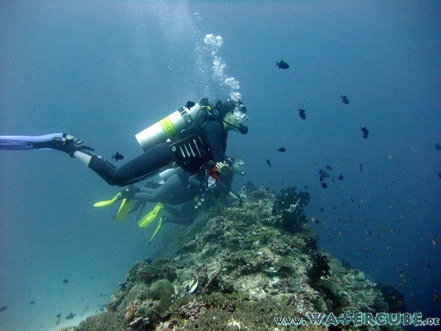 male2010-697.jpg