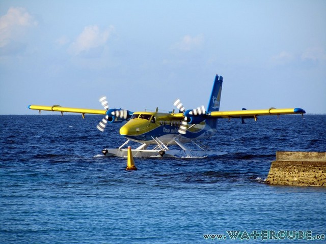 male2010-784.jpg