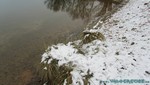Trocki-Event-07.jpg