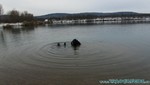 Trocki-Event-28.jpg