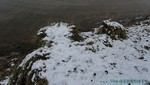 Trocki-Event-32.jpg