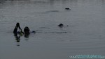 Trocki-Event-52.jpg