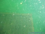 Trocki-Event-54.jpg