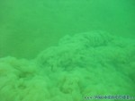 Trocki-Event-56.jpg