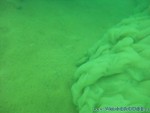 Trocki-Event-57.jpg
