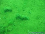 Trocki-Event-58.jpg