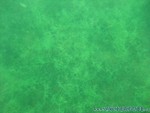 Trocki-Event-59.jpg