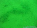 Trocki-Event-60.jpg