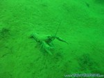 Trocki-Event-64.jpg
