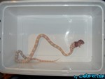 130804-04.jpg