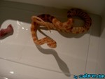 130804-09.jpg