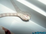 130804-10.jpg