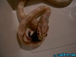 180904-04.jpg