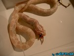 180904-06.jpg
