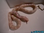 180904-07.jpg