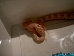 180904-11.jpg