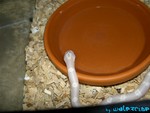 180904-17.jpg