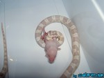180904-20.jpg