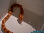 180904-23.jpg