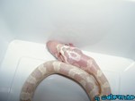 180904-32.jpg
