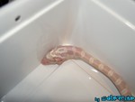 180904-38.jpg