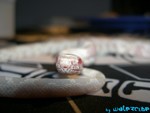 260904-5.jpg