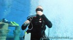 Dive4Life-20.jpg