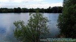 Sundhausen2011-026.jpg