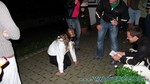 Sundhausen2011-143.jpg