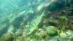 Walchensee-035.jpg