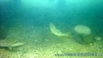 Walchensee-036.jpg