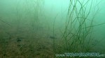 Walchensee-062.jpg