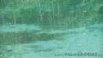 Walchensee-081.jpg