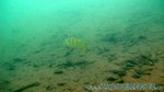 Walchensee-100.jpg