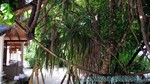 Reethi2011-0054.jpg