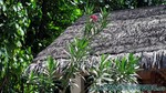 Reethi2011-0055.jpg
