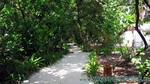 Reethi2011-0057.jpg