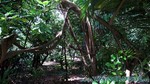 Reethi2011-0058.jpg