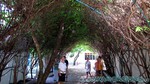 Reethi2011-0073.jpg