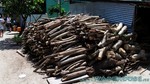 Reethi2011-0088.jpg